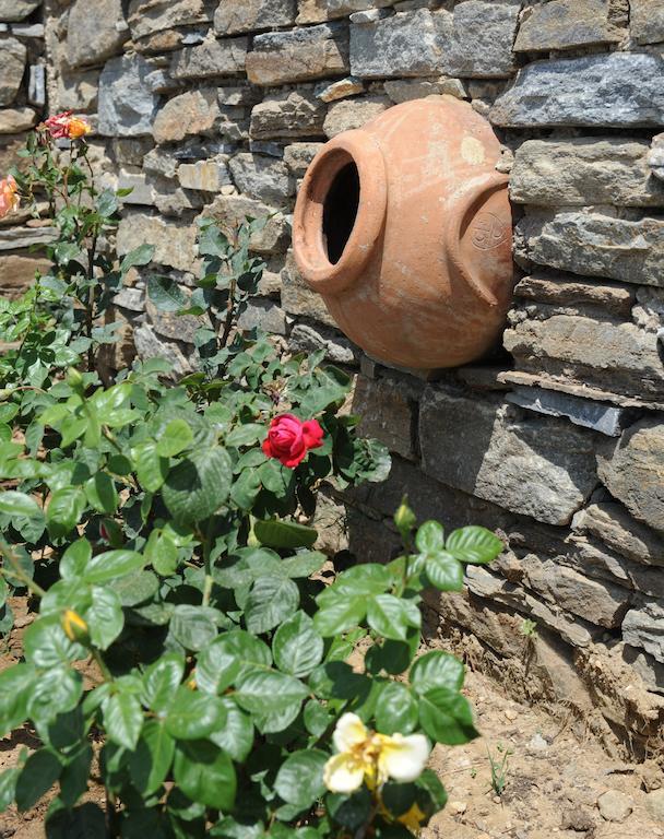 Akti Aegeou Aparthotel Agios Sostis  Luaran gambar
